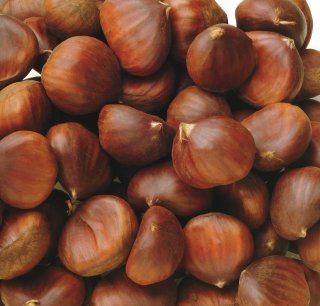 Castagne in Guscio
