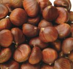 Castagne in Guscio